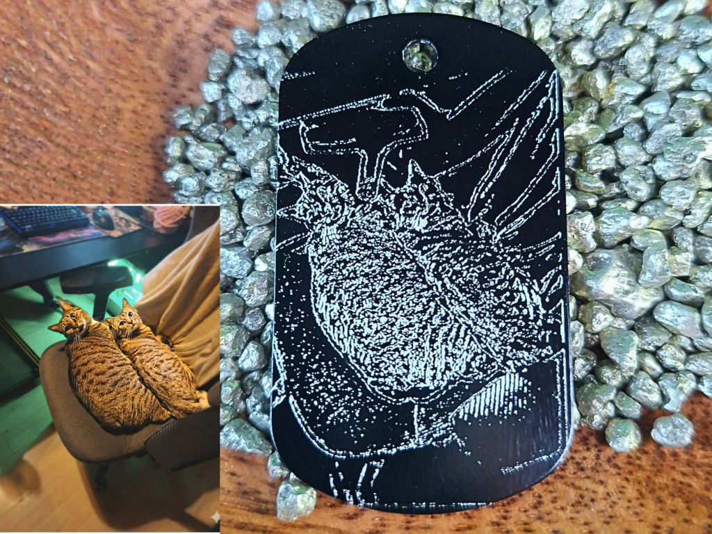 Dogtag schwarz katzen