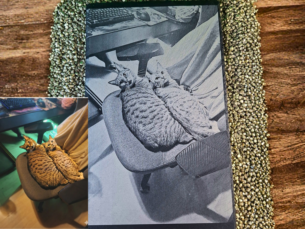 Schieferplatte Katzen